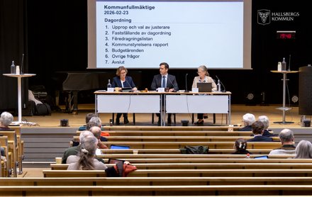 Ointressant fullmäktige – men ändå 75 000 kronor